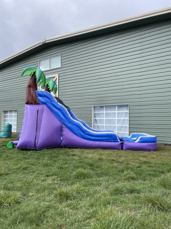 17' Tropical Paradise Dual Water Slide